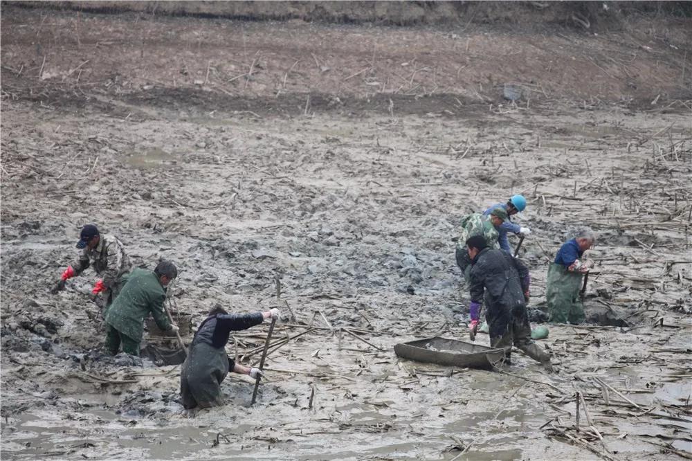 诸暨方言和其他方言比较,诸暨话方言美女