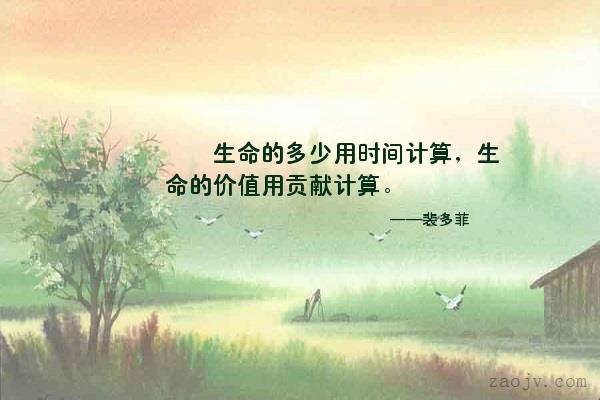 小聪明与大智慧书,小聪明与大智慧名人佳句