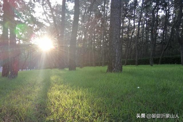 万米金沙滩风景,万米沙滩金沙滩