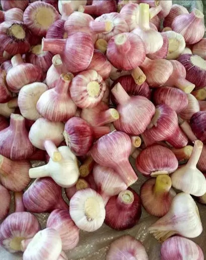 2020年3月25日大蒜价格行情及价格行情趋势