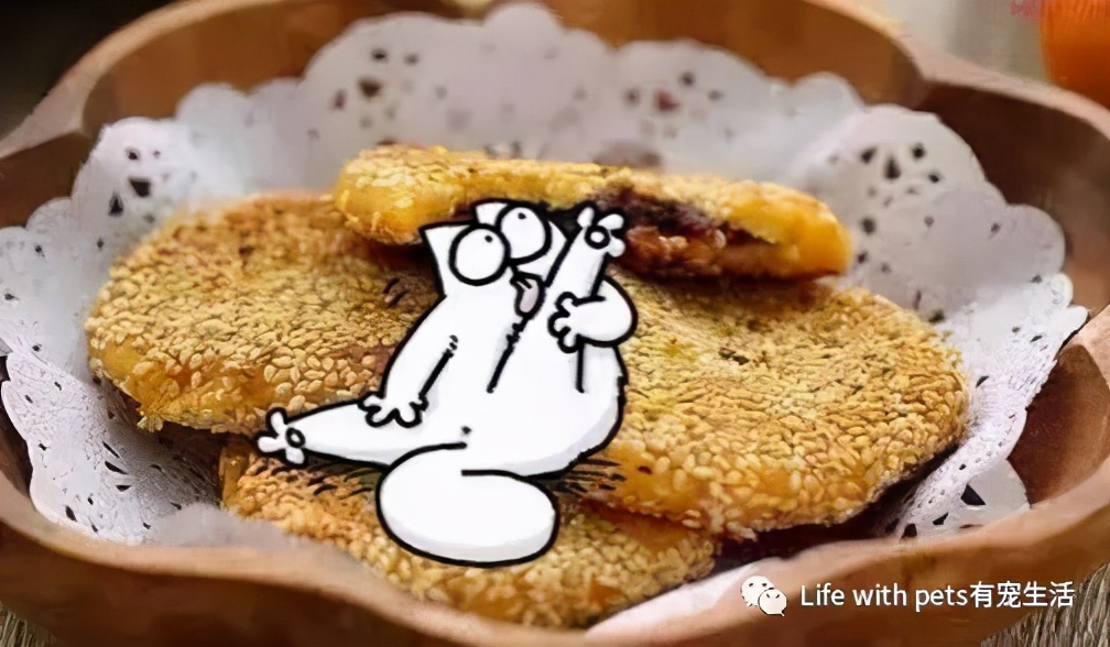 猫咪科普便便,猫屎软便是体内有寄生虫了吗