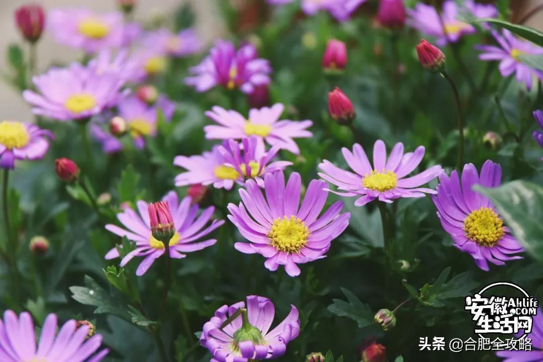 老周谷堆水果批发市场,老周谷堆古玩市场