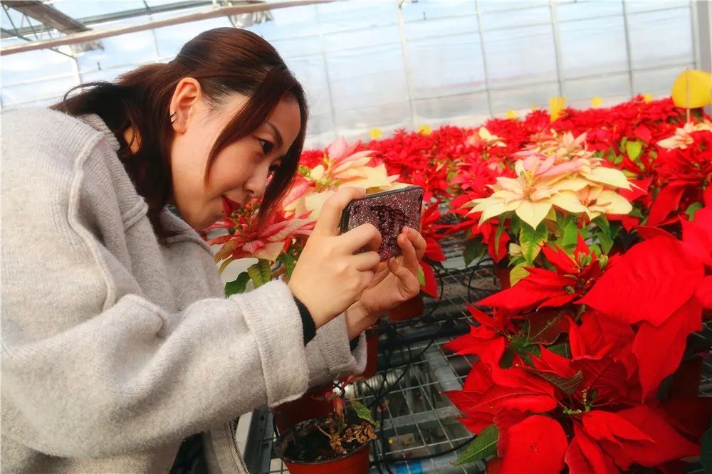 呼图壁县第一书记,昌吉呼图壁县委书记