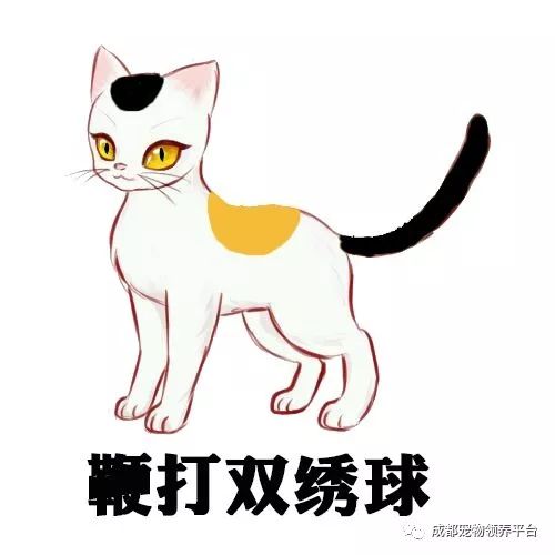 谁说土猫无名猫？快来围观古代猫谱，你家有没有镇宅神兽！