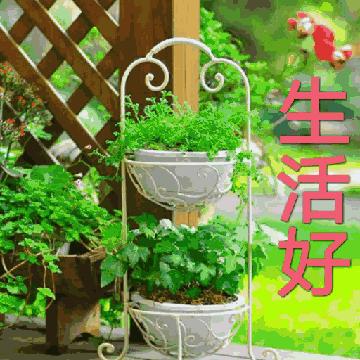 4月1日愚人节的祝福语,4.1日愚人节怎么来的