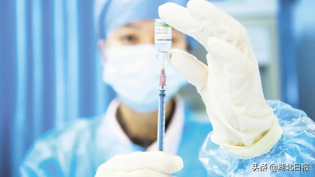 长文最新更新视频,重磅文章最新