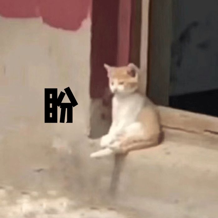 kiko买到假货,kiko新品欣赏