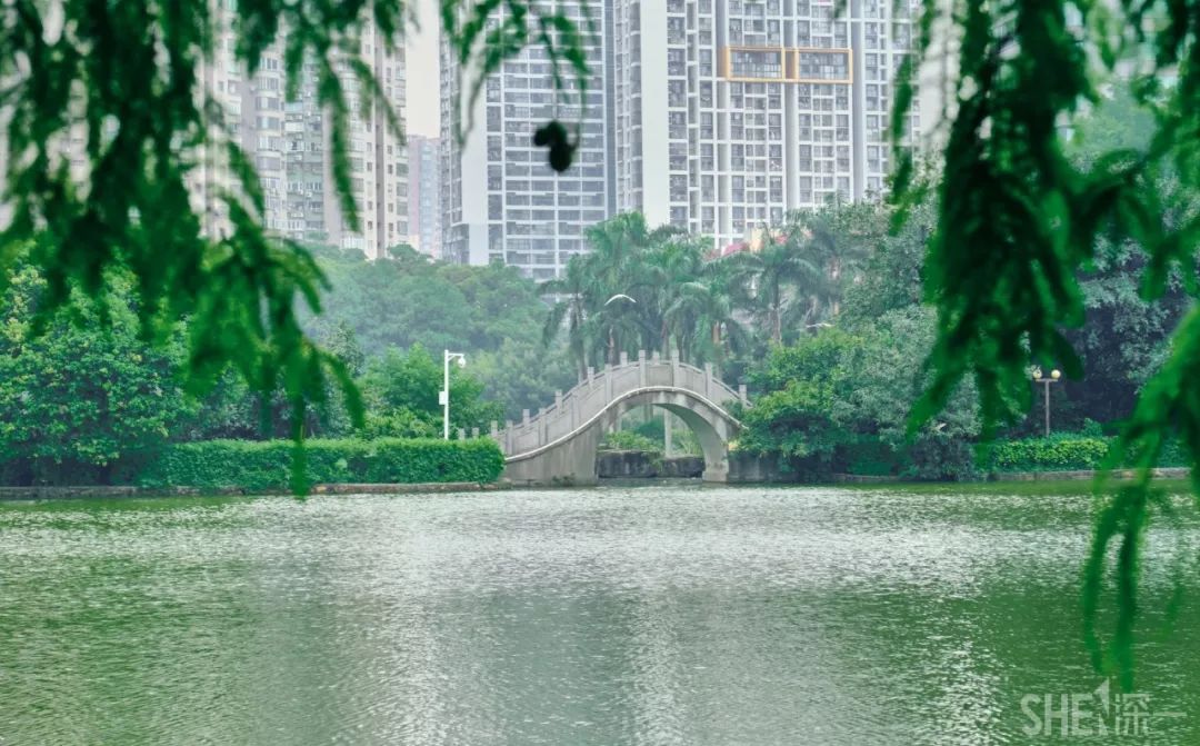 蛇口，传统与现代的并存