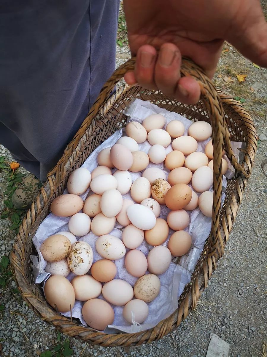 我们在距芜湖70公里的古坝村，找到了向往的生活