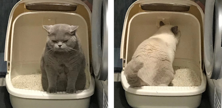 懒癌晚期患者被智能家居拯救,最适合懒人的智能家