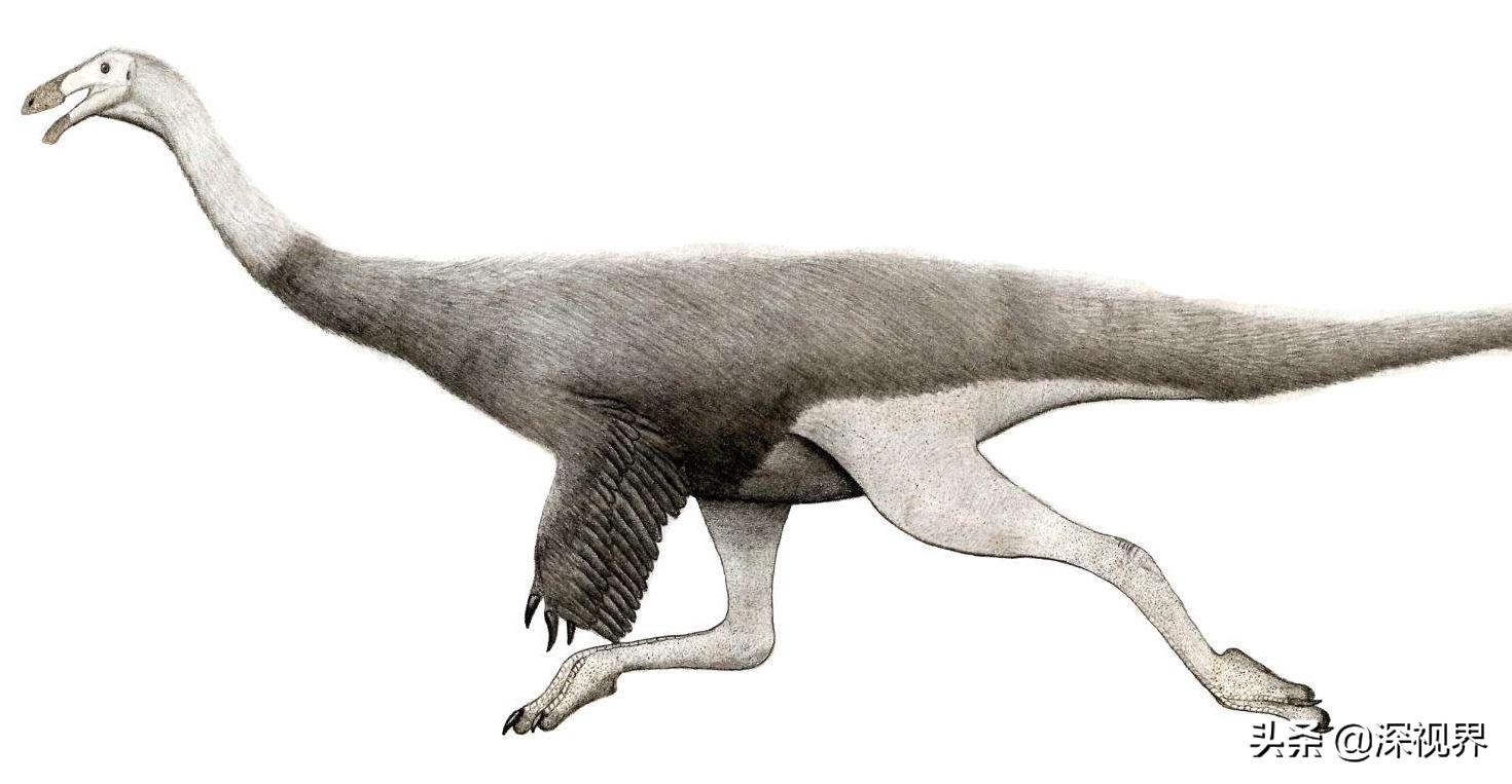 恐龙从几次大灭绝中活了下来,恐龙有没有灭绝只是进化成了鸟类