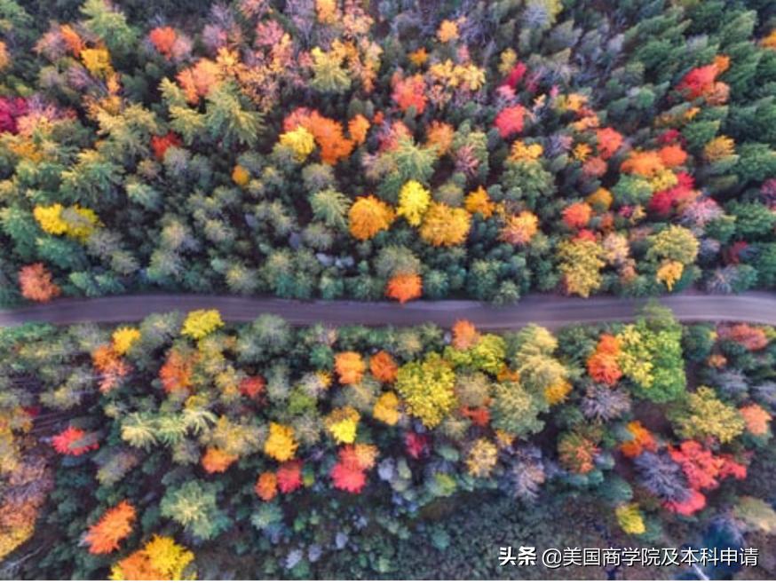 新英格兰问题,英格兰地区最新规定