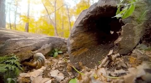 豆瓣9.6！娃刷到停不下来，还能看出人生大道理