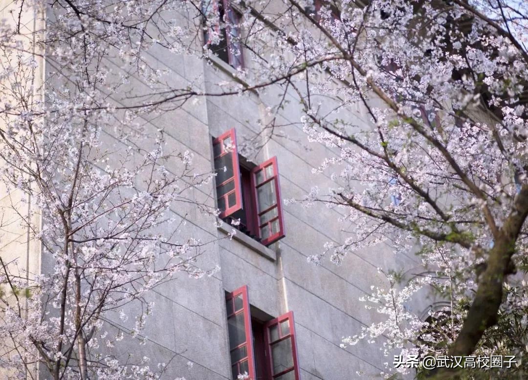 爸妈我想回家视频,爸妈我想回家了原视频