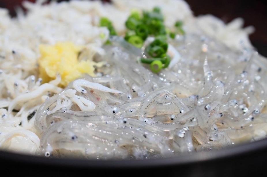 日本最可怕的七种食物,日本奇怪的食物