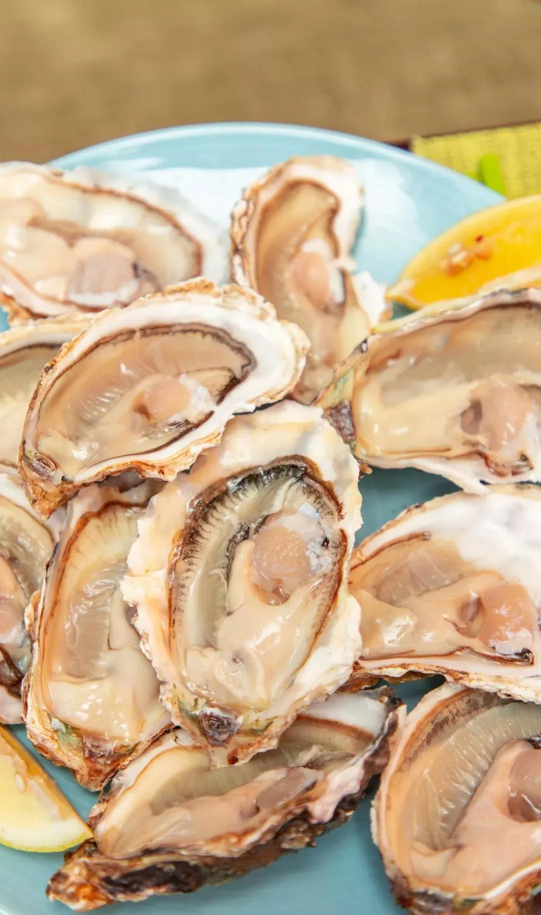 春节厦门自由行5日游攻略,春节厦门自由行攻略亲子省钱