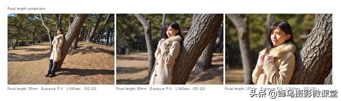 腾龙最好的人像变焦镜头,腾龙新镜头拍摄