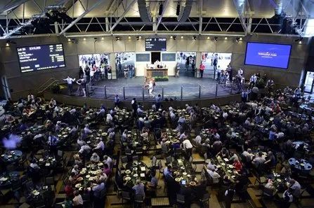 直播卖马，说来就来！世界首次，两天卖3亿！900万天价马中国卖出