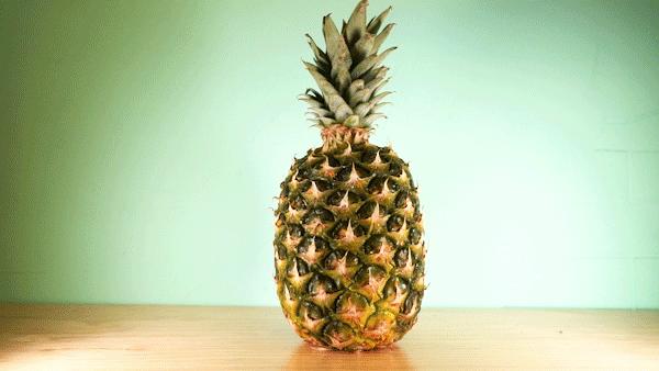 体育西咖啡研究所,体育西咖啡