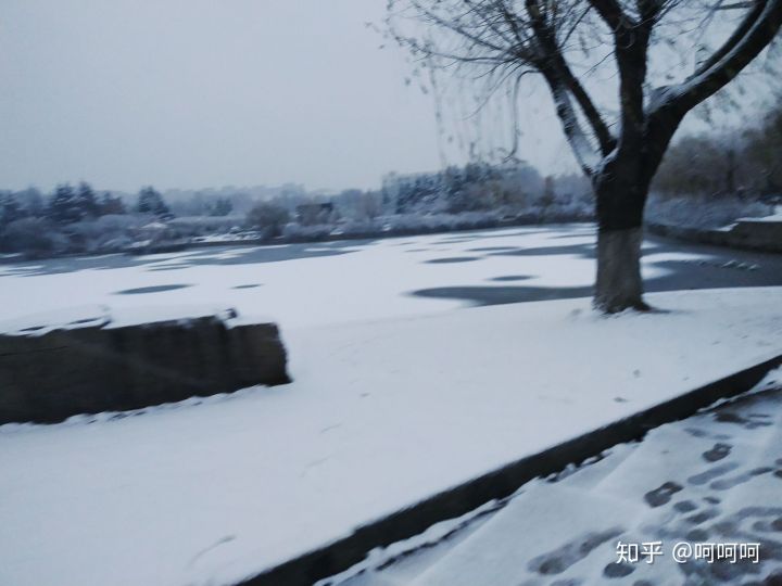 青岛农业大学机械类在哪里就读,青岛农业大学在哪里读