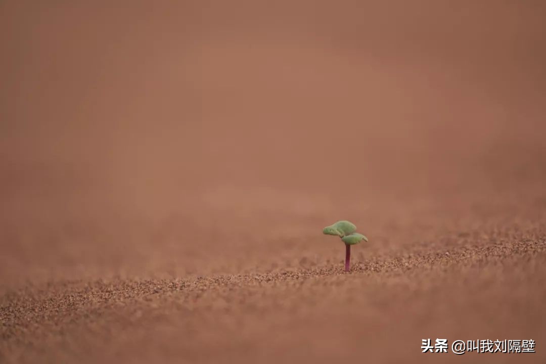 最成功的微商商业模式,微商的十种模式