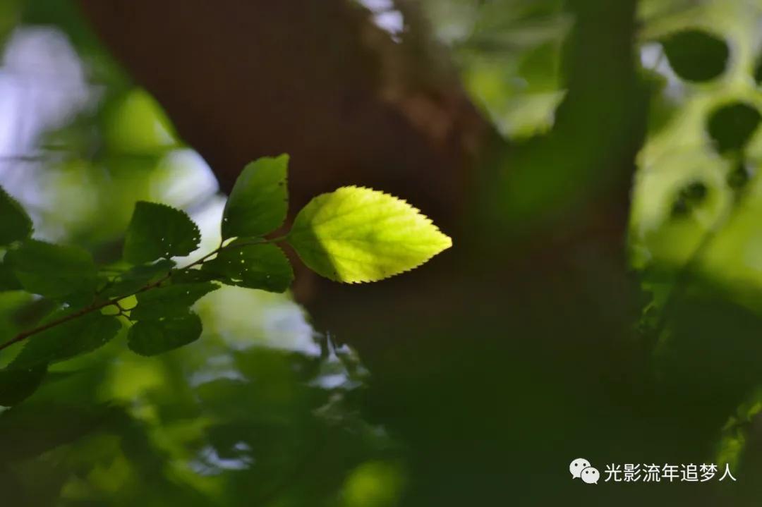 古寺灵岩寺,济南千年古寺灵岩寺