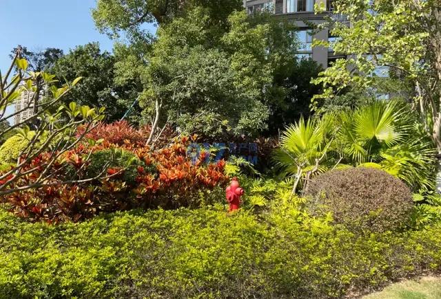 厦门海沧天源开盘价,海沧天源小区的房价是多少