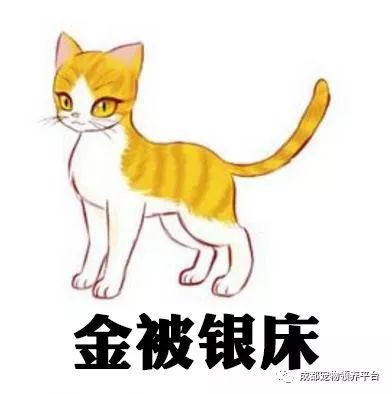 谁说土猫无名猫？快来围观古代猫谱，你家有没有镇宅神兽！
