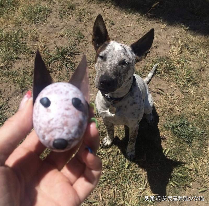 简单一招，比Ai换脸还厉害，毫无违和的牛头梗照片