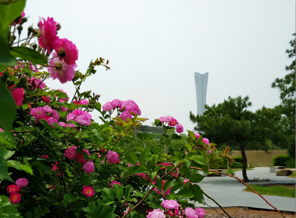 游锦州世博园,锦州世博园剧场