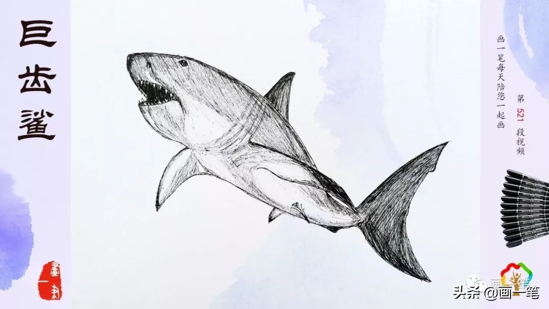 海葵和小丑鱼绘画,小丑鱼和海葵共生的小练笔