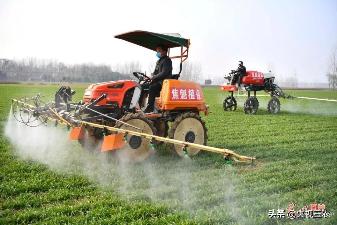 抓防疫保春耕两不误,促融合防疫春耕两不误