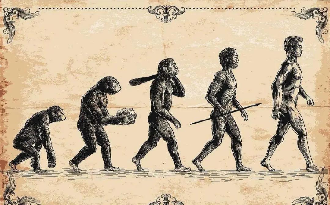 《疯狂人类进化史》：男人偏爱白皮肤女人的终极原因是什么