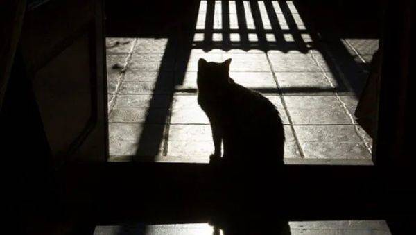 丧心病狂!5岁男孩在澳大利亚沙滩被群奸!凶徒竟然是一群少年