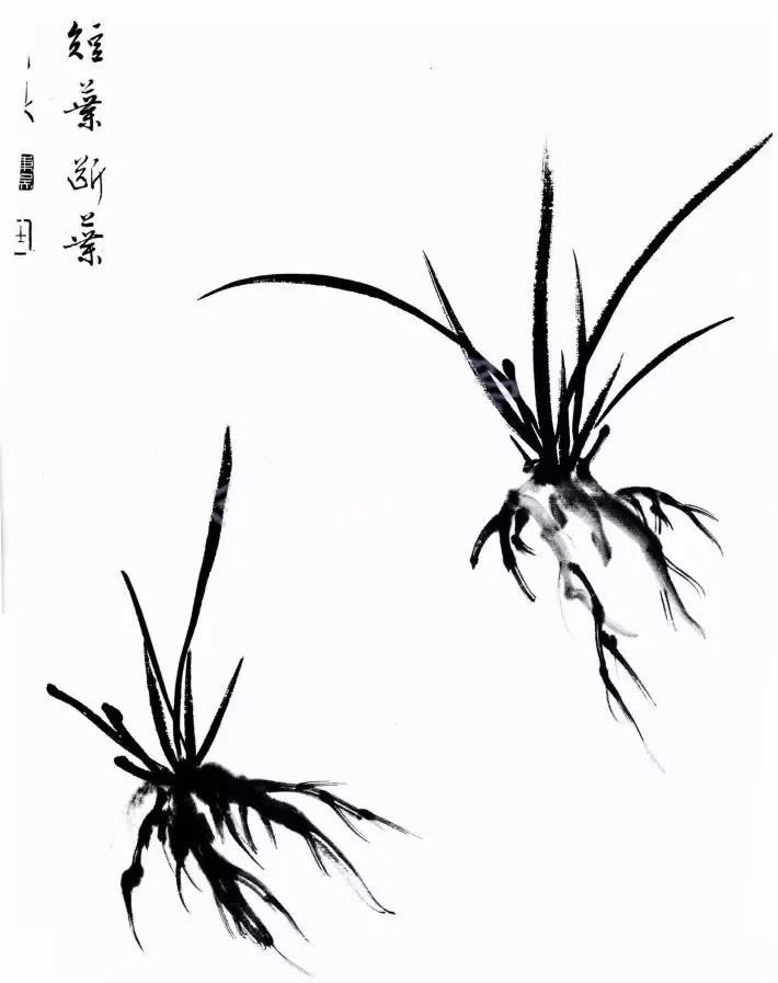 工笔兰花画法步骤详解,兰花的十种画法讲解