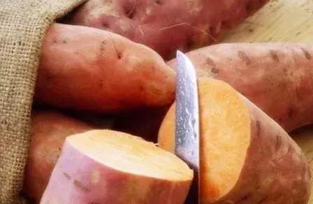 澳洲大龙虾奢华大餐,澳洲大龙虾海鲜大餐