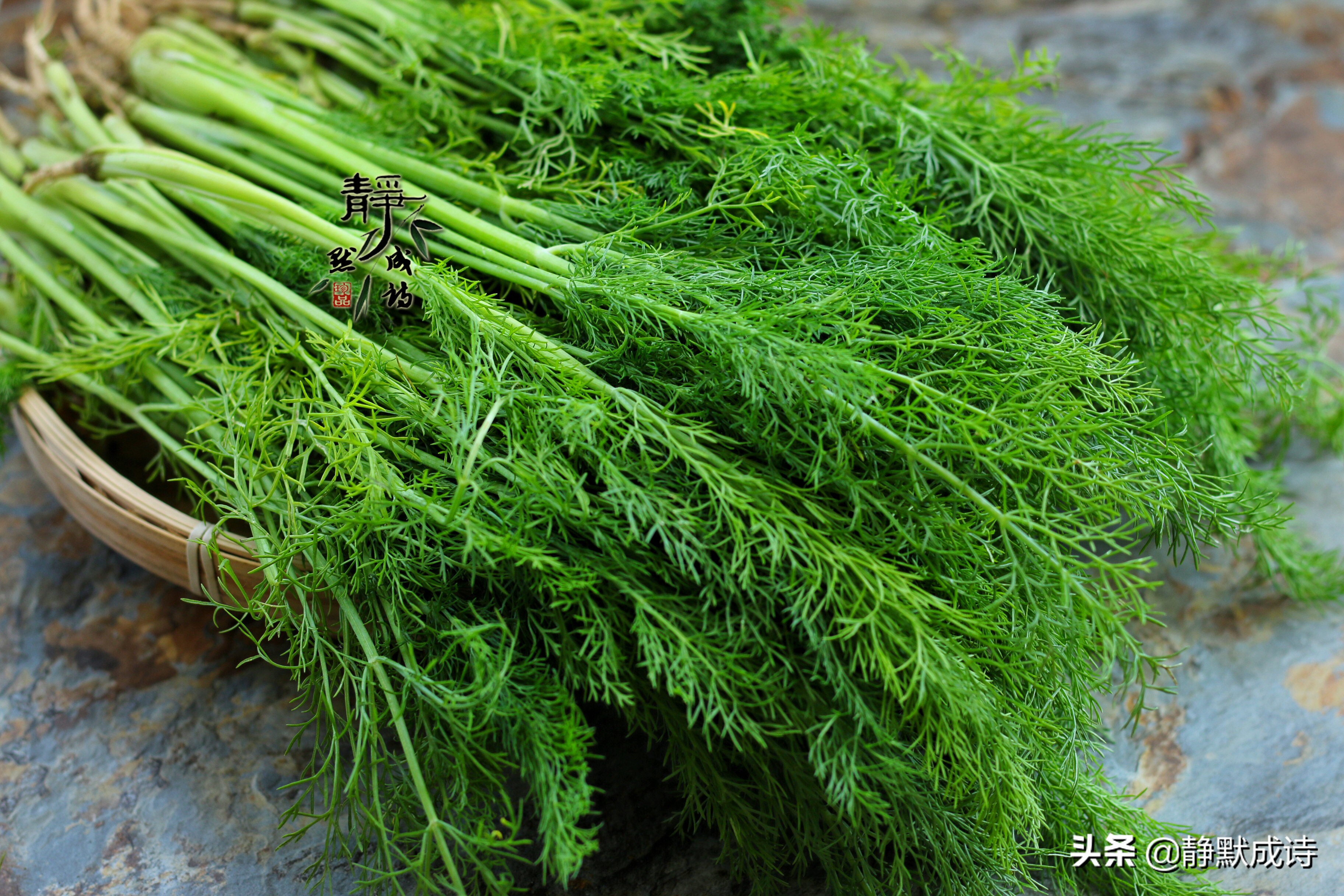 茴香猪肉馅饺子简单家常做法,茴香猪肉馅饺子的家常做法
