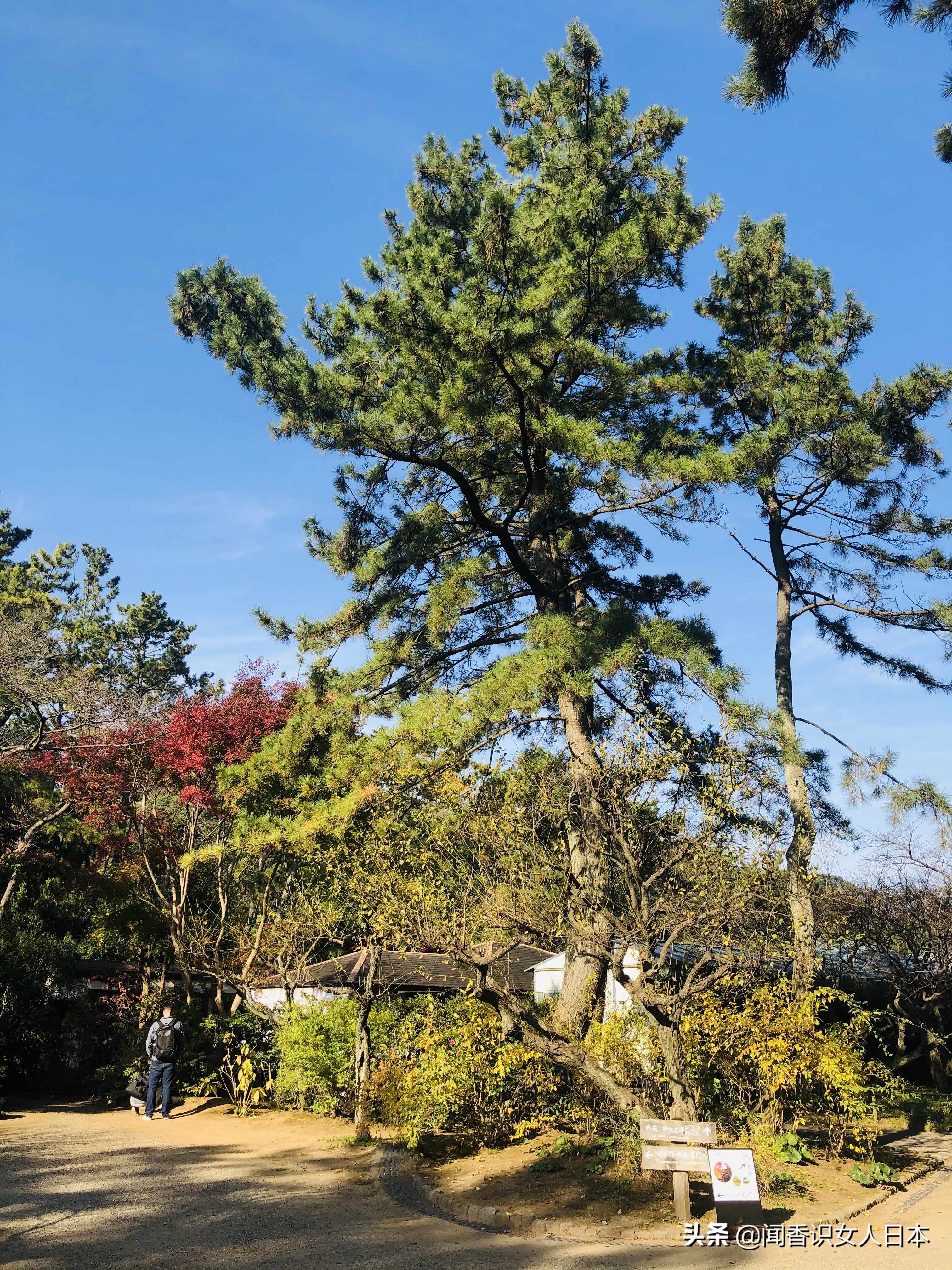 横滨三溪园,横滨三溪园介绍