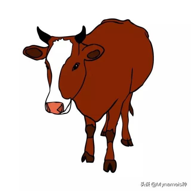 属相天命,十二属相的解析与分析