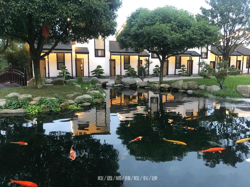 长沙性价比最高的10家餐厅,高逼格餐厅长沙