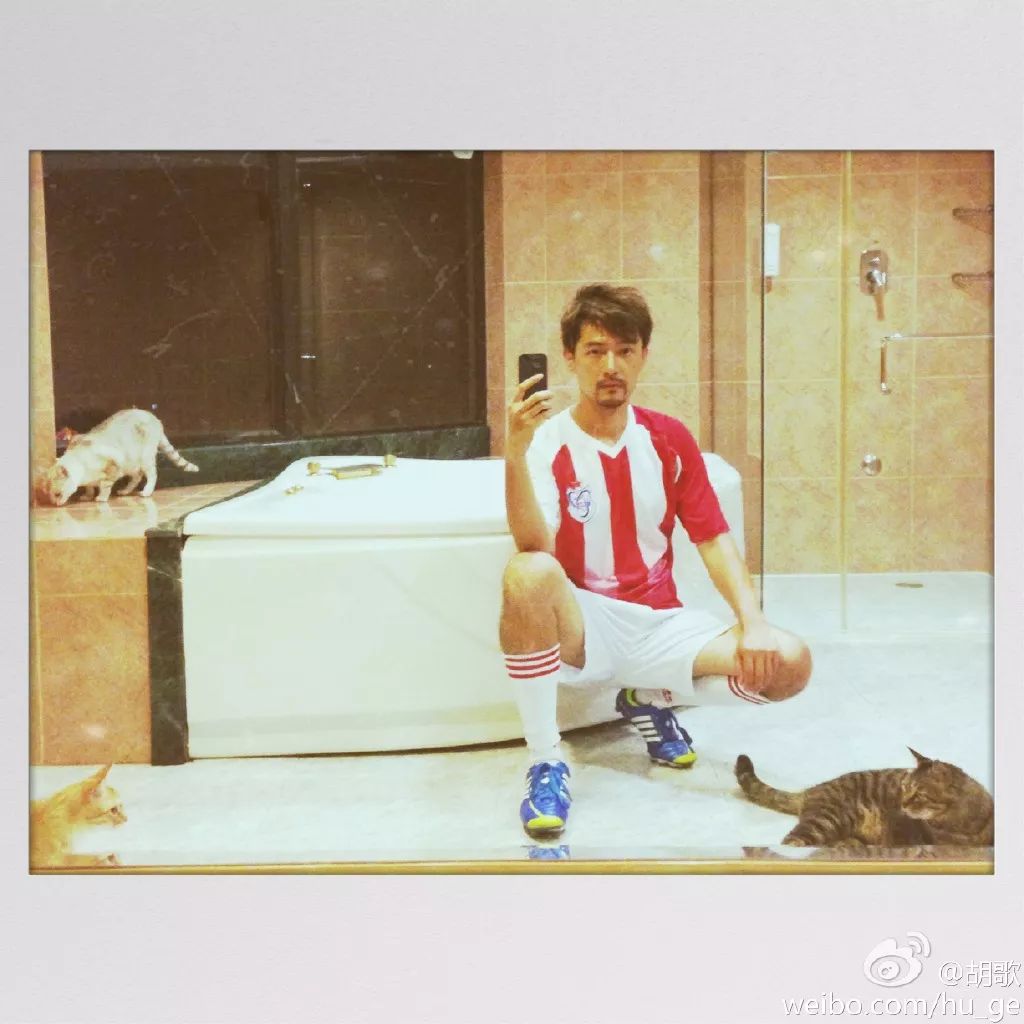 胡歌彭于晏和我,胡歌我和我的父辈