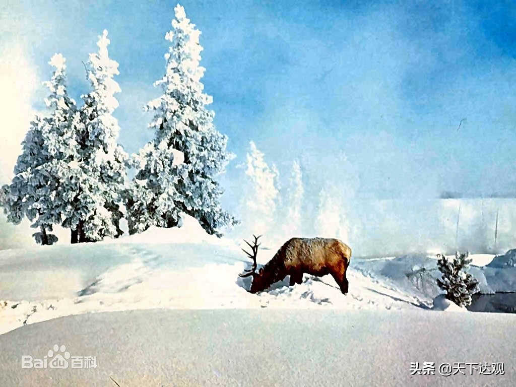 欧洲史|爱尔兰:议会共和制国家,与英国隔海相望,是“翡翠岛国”