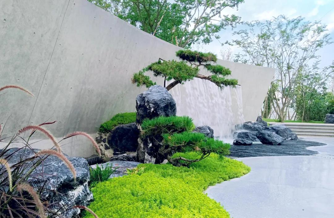 新区新建公园规划,主城区公园