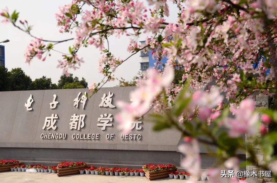电子科技大学成都学院什么档次,电子科技大学成都学院属什么档次