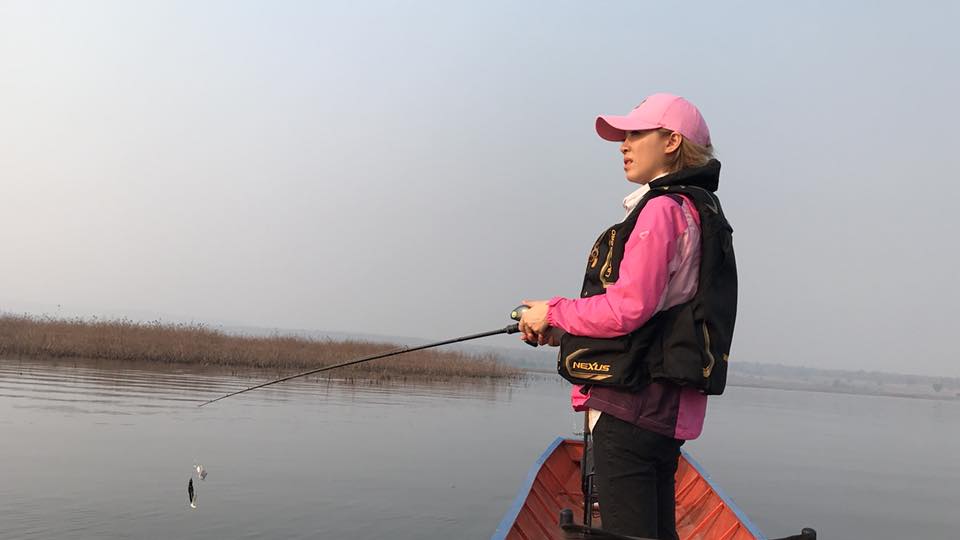 狮子鱼为何在美国泛滥成灾,蛇头鱼在中国为什么不泛滥