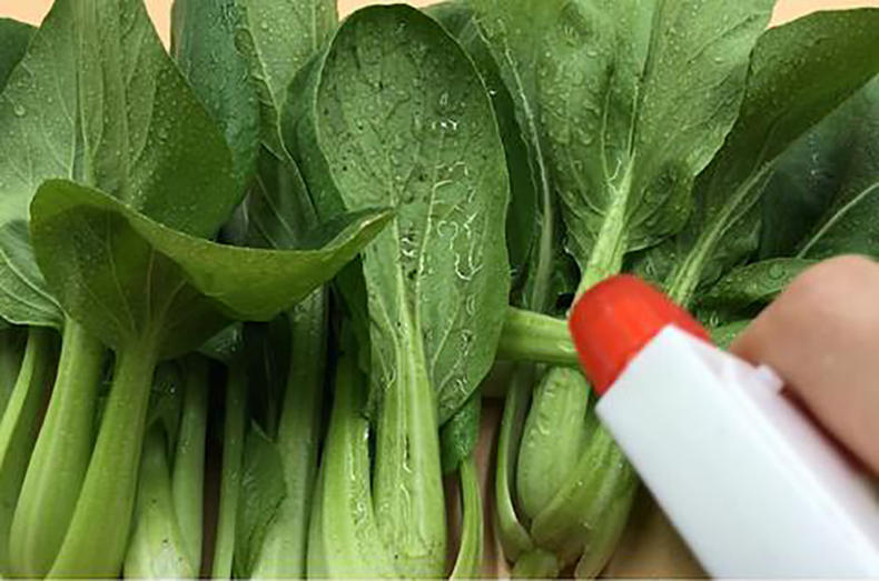 现在青菜哪种有营养,青菜的种类和食用方法