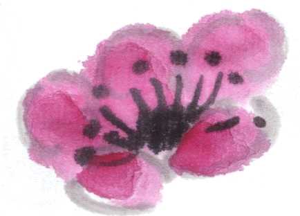 怎么画梅花和梅花树,写意画梅花的画法视频