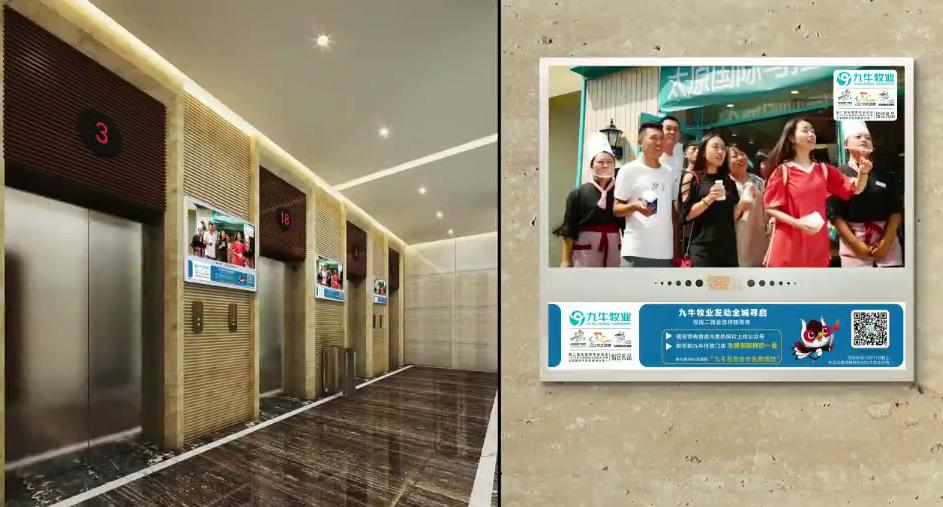 九牛牧业免费领牛奶,九牛牧业纯牛乳