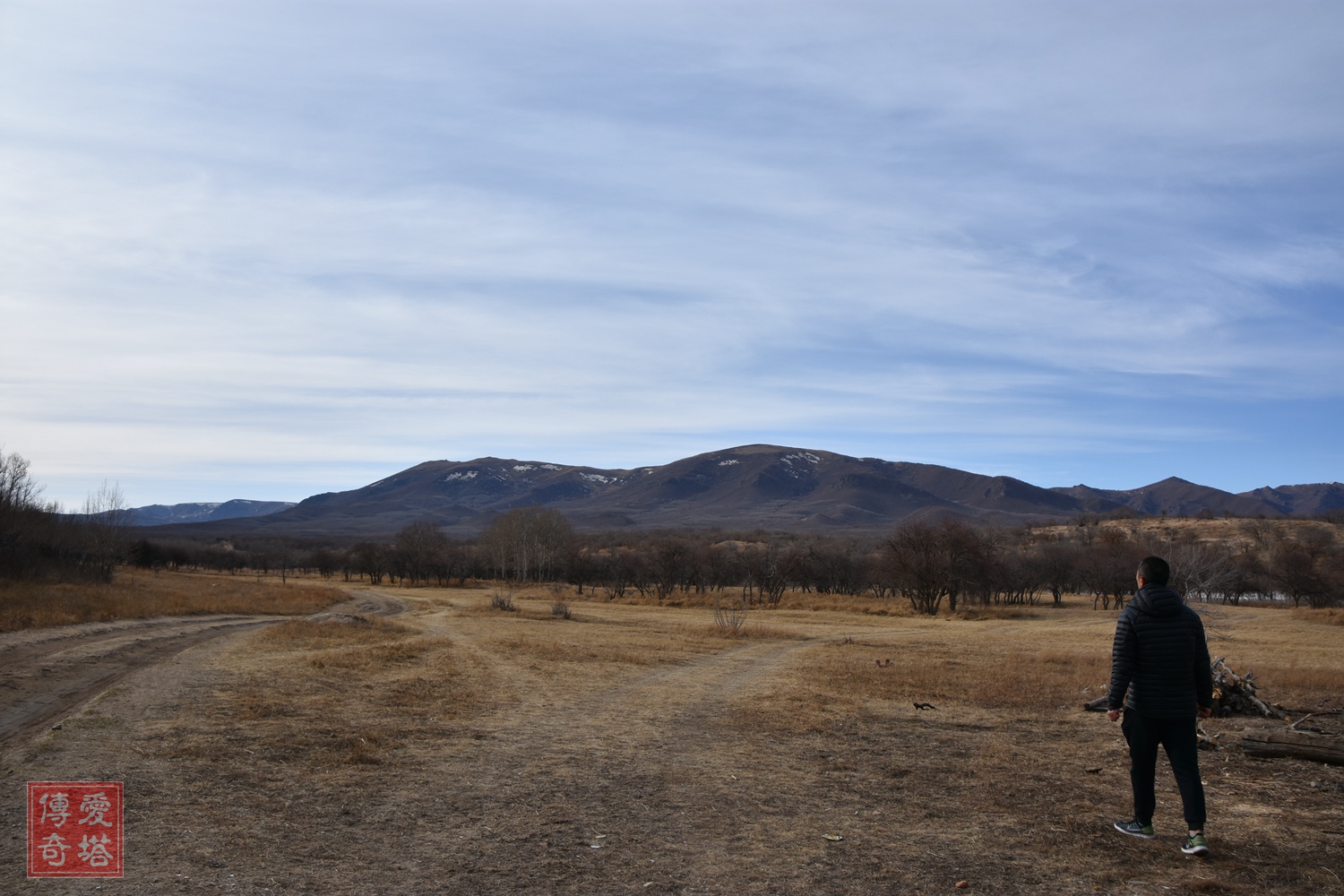 2020年经典电视剧有哪些,2020年将要播出的电视剧有哪些