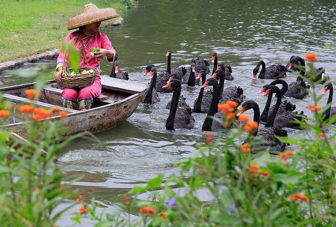 长隆拟变开放式世界主题乐园,广州长隆五大主题公园怎么玩